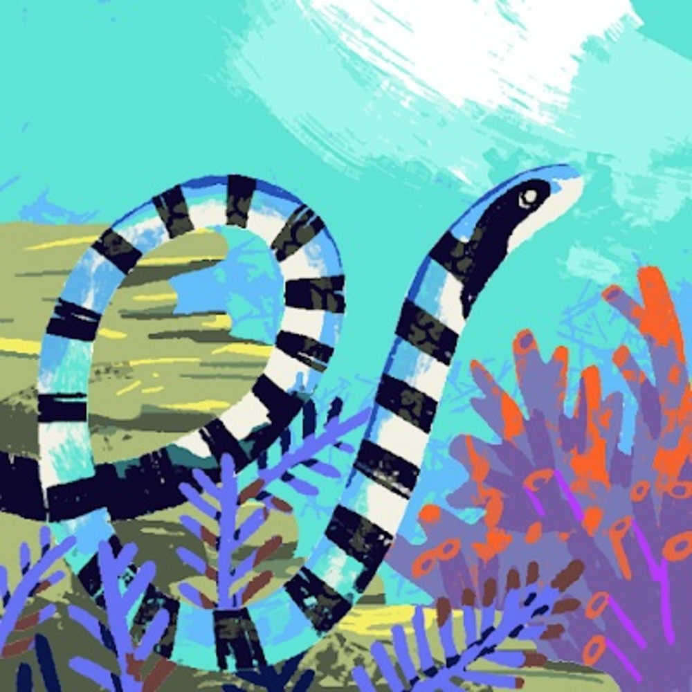 Meet your Posher, Addison